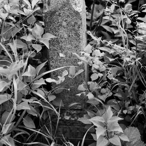 Cemetery 2