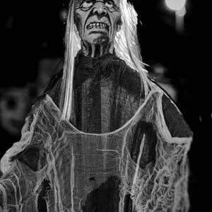 Doghouse Ghoul