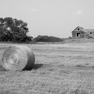 Landscapes
